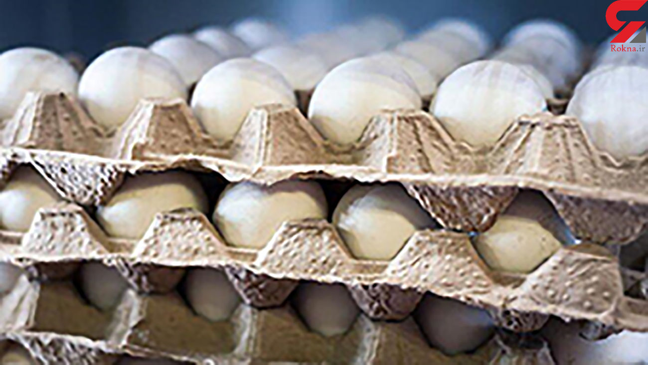 قیمت قانونی تخم مرغ برای مصرف کننده چقدر است ؟ قیمت قانونی تخم مرغ برای مصرف کننده چقدر است ؟