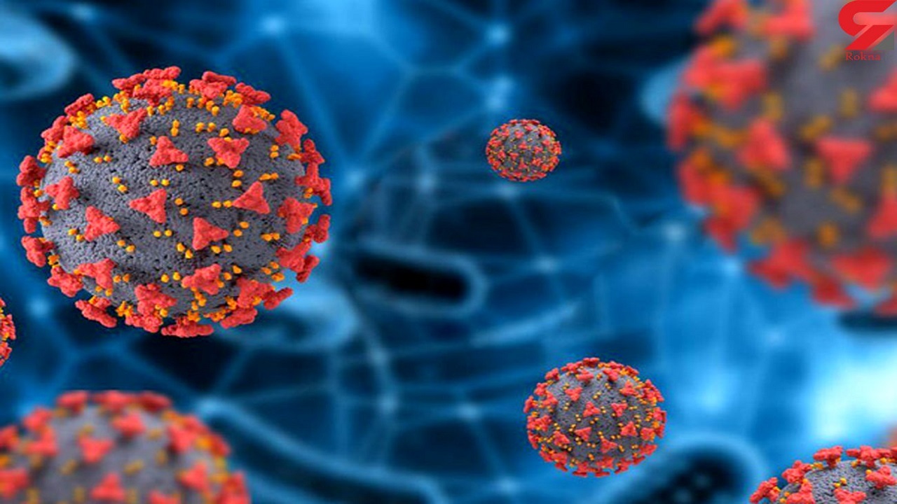 سویه فرانسوی کرونا را بشناسید/ نگران کنندهترین جهشهای کووید ۱۹ کدامند؟ سویه فرانسوی کرونا را بشناسید/ نگران کنندهترین جهشهای کووید ۱۹ کدامند؟