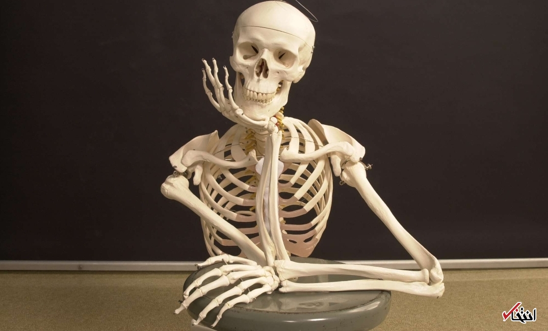 کشف جنازهای که پشت میز غذا نشسته بود کشف جنازهای که پشت میز غذا نشسته بود