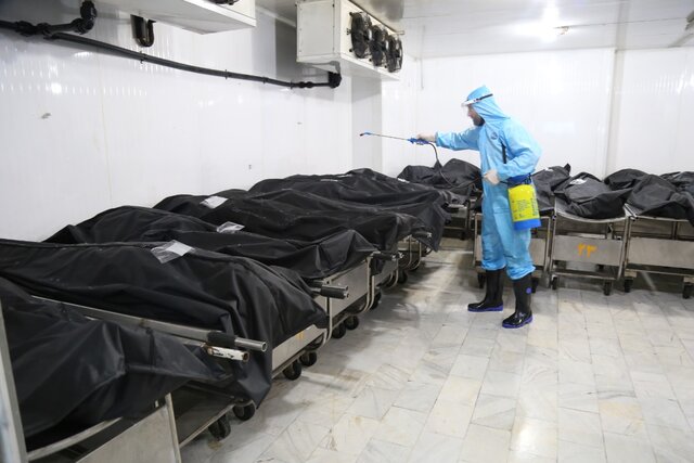 بستری های اومیکرون بستری های اومیکرون