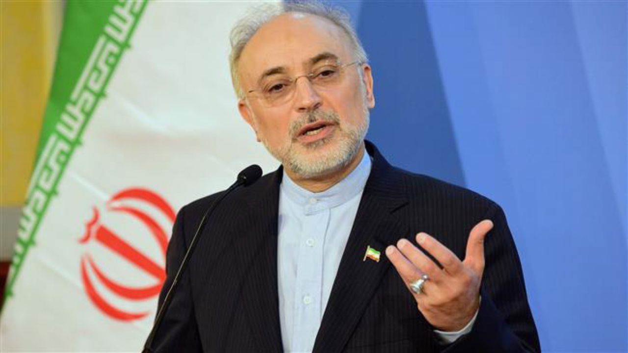 صالحی: فعلاً تصمیم قطعی برای کاندیداتوری ندارم