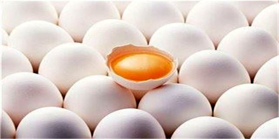 روند نزولی قیمت تخم مرغ ادامه دارد