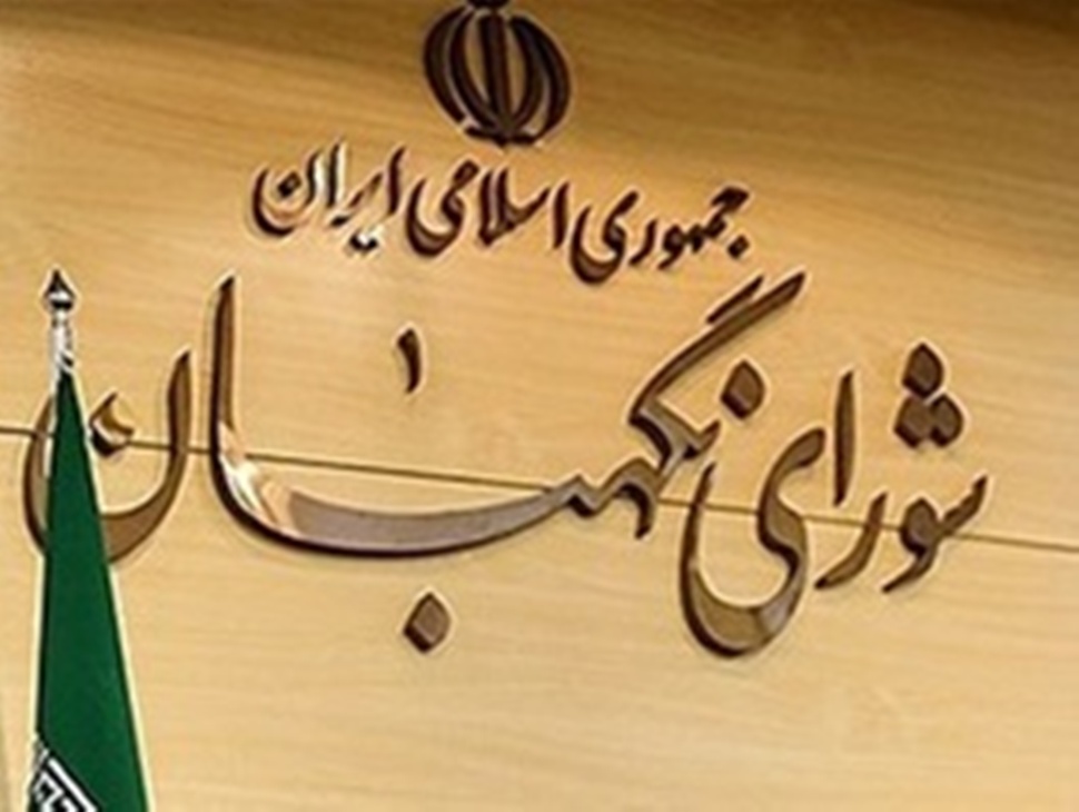 فقیه شورای نگهبان در میان معترضین