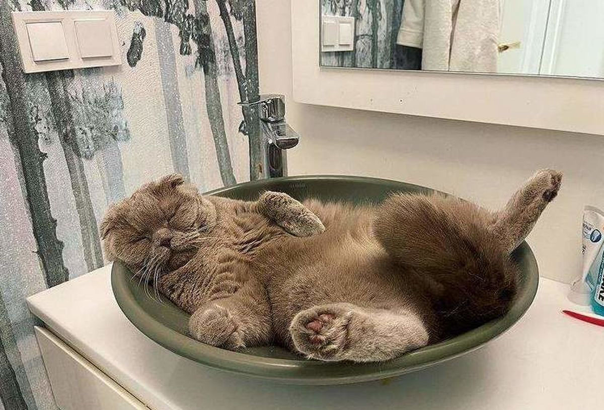 صرفه جویی آب به سبک الناز شاکردوست! + عکس الناز شاکردوست