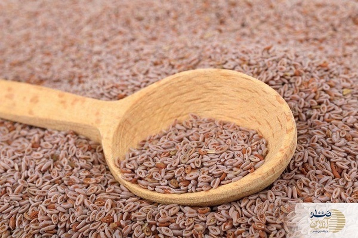 این گیاه یبوست و اسهال ،دیابت، التهاب روده، چربی و فشار خون را درمان می کنند این گیاه یبوست و اسهال ،دیابت، التهاب روده، چربی و فشار خون را درمان می کنند