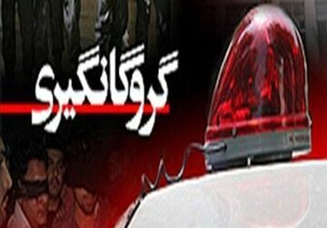 ماجرای گروگانگیری دختر ۱۶ ساله کردستانی در تهران چه بود؟ ماجرای گروگانگیری دختر ۱۶ ساله کردستانی در تهران چه بود؟