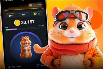 هجوم مردم به «همستر کامبت» یادآور تجربه بورس است/ لیستشدن «ناتکوین» هم چندان سودآور نبود هجوم مردم به «همستر کامبت» یادآور تجربه بورس است/ لیستشدن «ناتکوین» هم چندان سودآور نبود