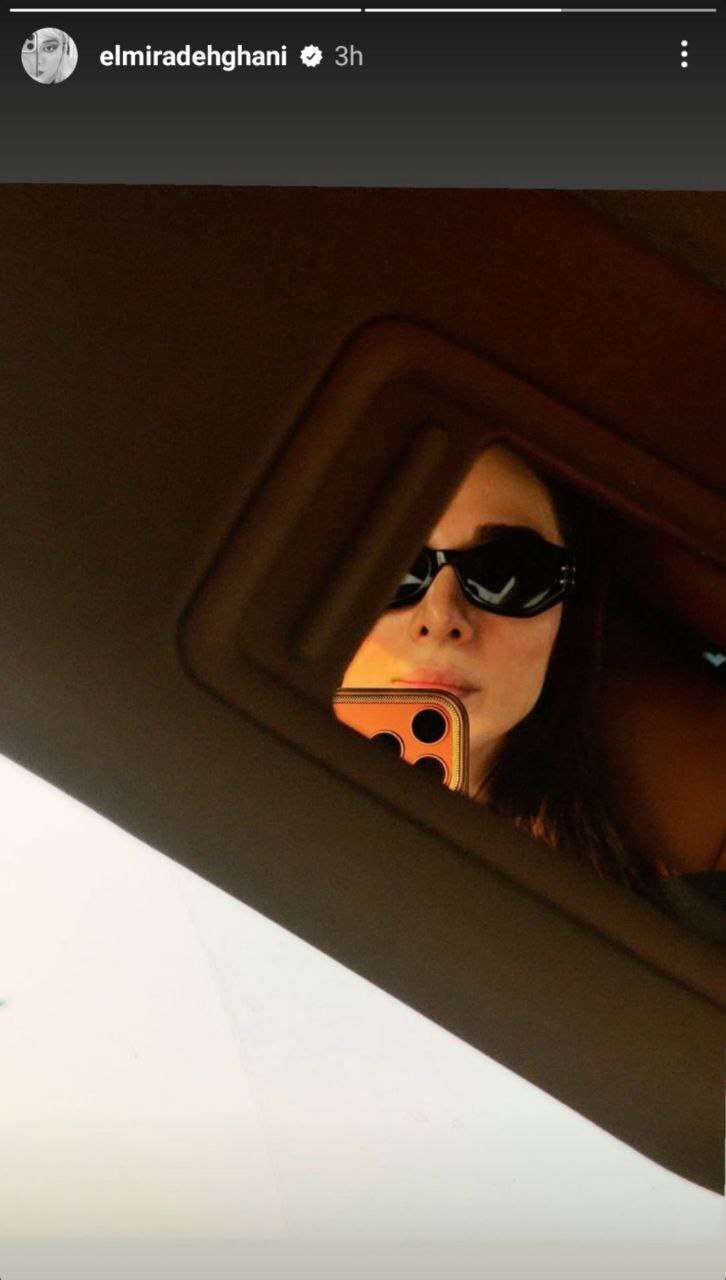 قاب تازه و خانوادگی المیرا دهقانی جلب توجه کرد