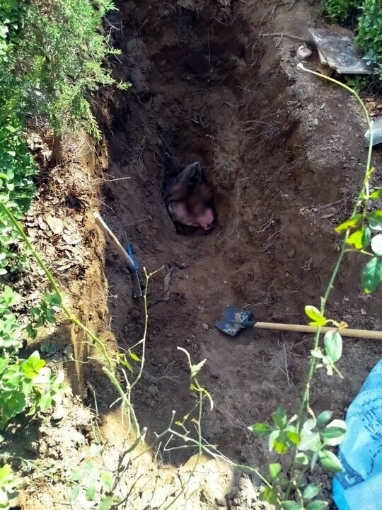 کشف راز قتل مرد مفقود تهران