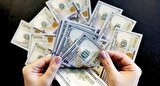 قیمت دلار و یورو امروز ۱۴ اردیبهشت ۱۴۰۴