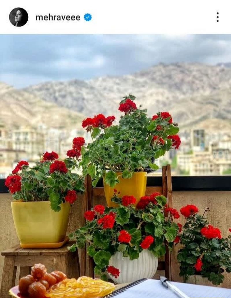 پست مهراوه شریفی نیا