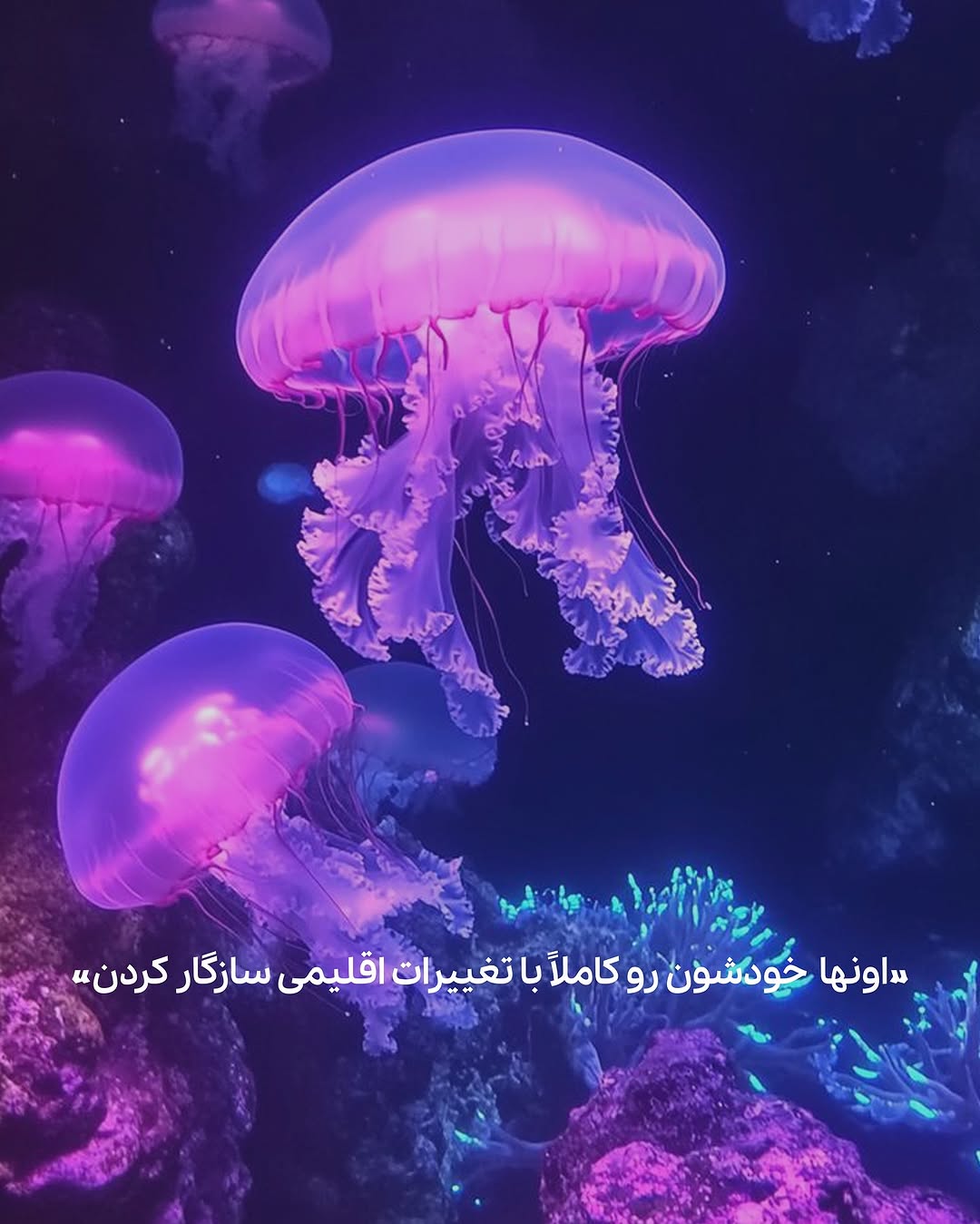 photo_2025-05-14_08-46-31 (8)