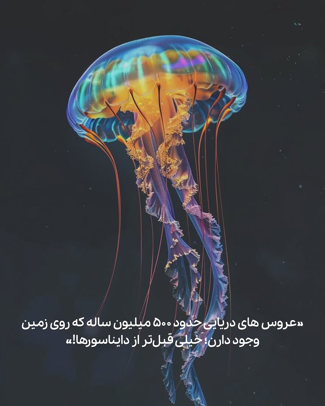 photo_2025-05-14_08-46-31 (5)