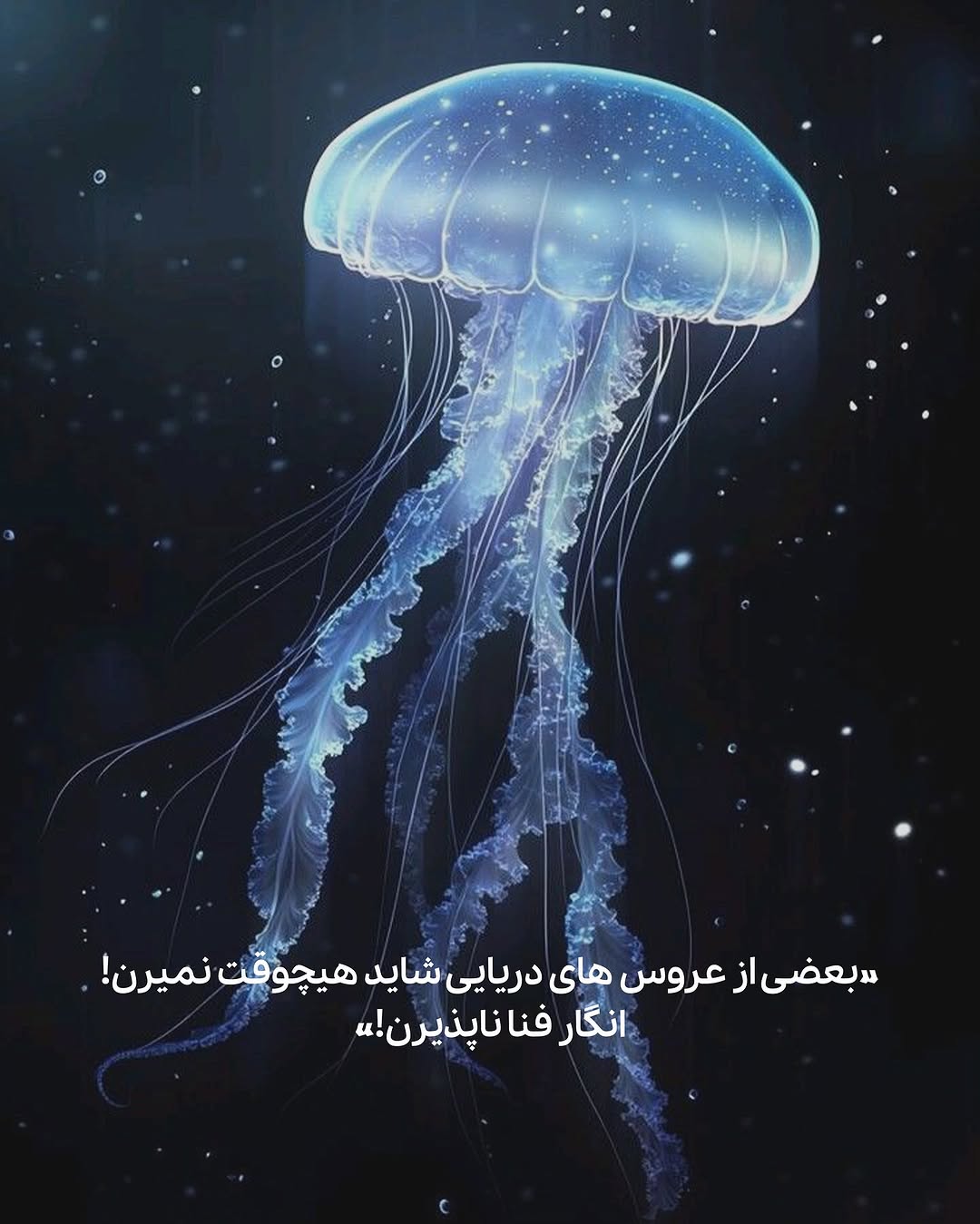 photo_2025-05-14_08-46-31 (4)