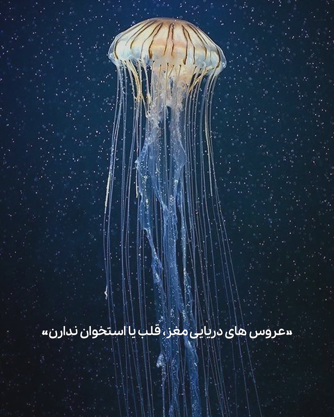 photo_2025-05-14_08-46-31 (3)