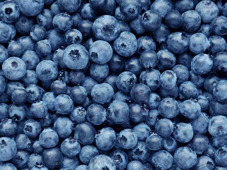 blueberries_fresh_fullframe_732x549_thumb-732x549