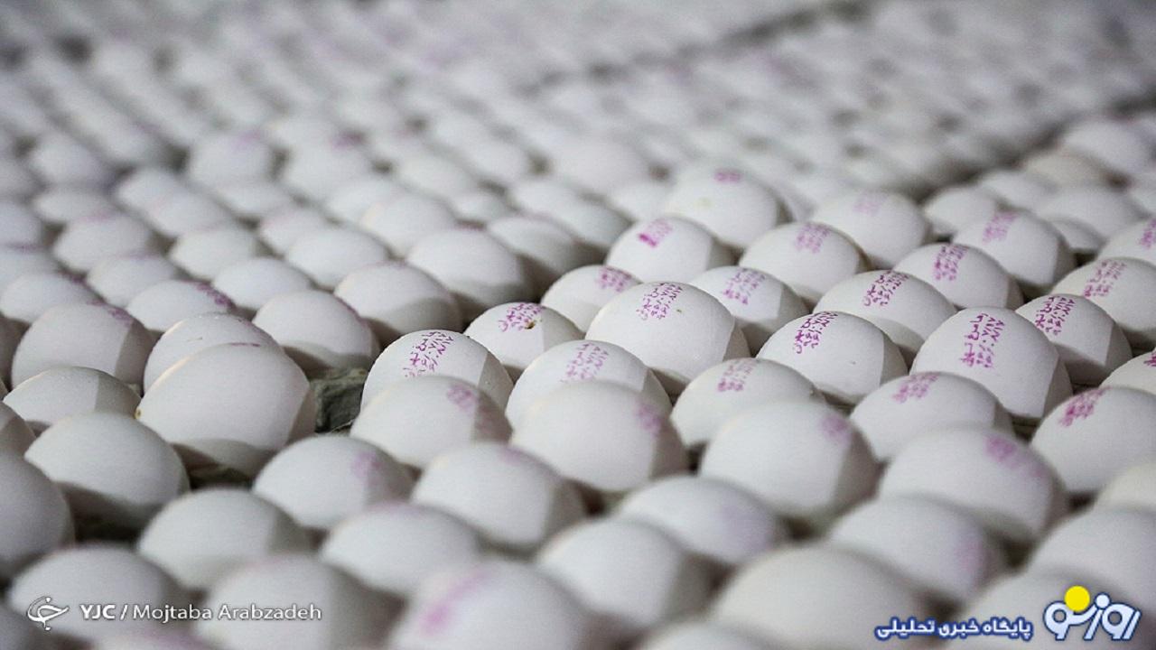 قیمت منطقی تخم مرغ چند تومان است؟