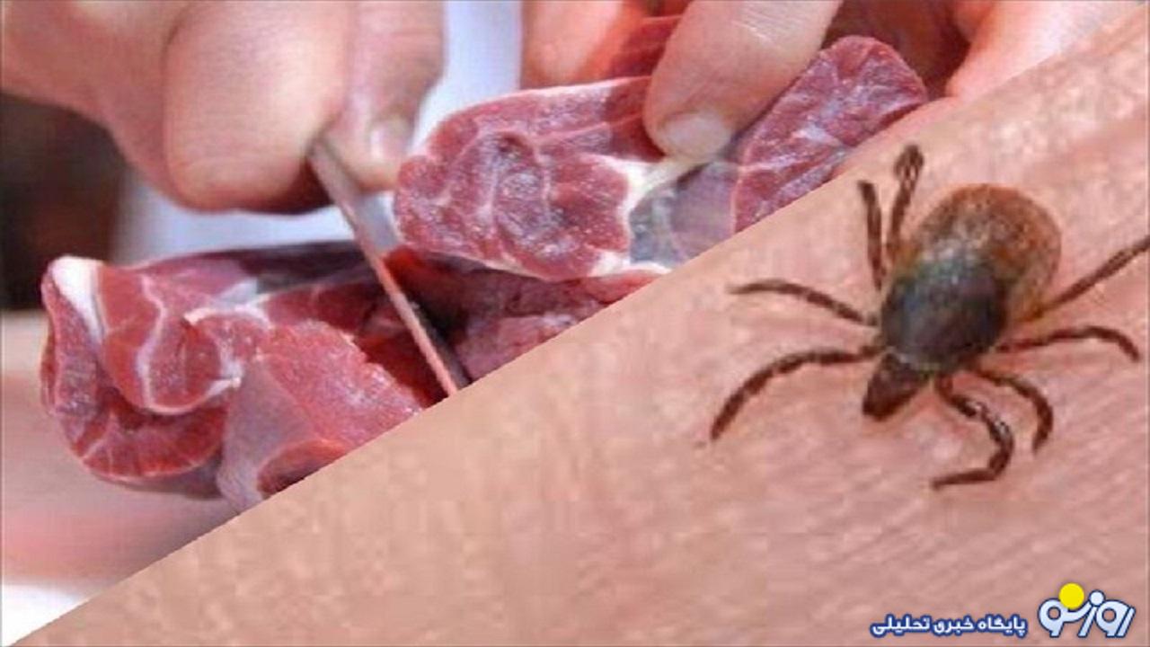 راه‌های انتقال تب کریمه‌کنگو