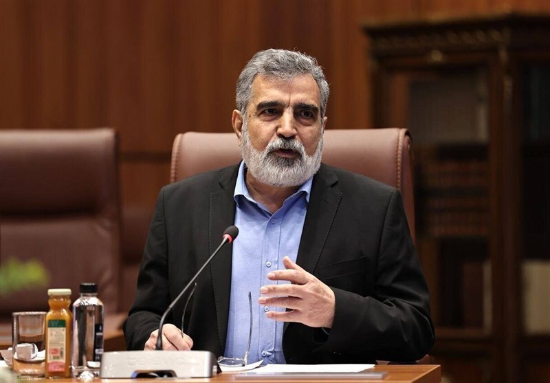 سخنگوی سازمان انرژی اتمی: من در فردو بودم و با همکاران صحبت کردم؛ در آن جا حادثه رخ نداده / آقای اسلامی هم در نطنز بود؛ در آنجا حادثهای در سطح زمین اتفاق افتاده / خوشبختانه تلفات جانی نداشتیم / از خسارات برآورد نداریم / آلودگی شیمیایی و پرتویی در داخل سایت احساس شده اما در بیرون آلودگی نداریم سخنگوی سازمان انرژی اتمی: من در فردو بودم و با همکاران صحبت کردم؛ در آن جا حادثه رخ نداده / آقای اسلامی هم در نطنز بود؛ در آنجا حادثهای در سطح زمین اتفاق افتاده / خوشبختانه تلفات جانی نداشتیم / از خسارات برآورد نداریم / آلودگی شیمیایی و پرتویی در داخل سایت احساس شده اما در بیرون آلودگی نداریم