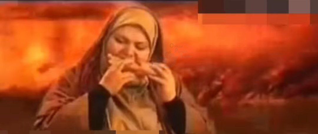 photo_2025-05-29_20-15-06