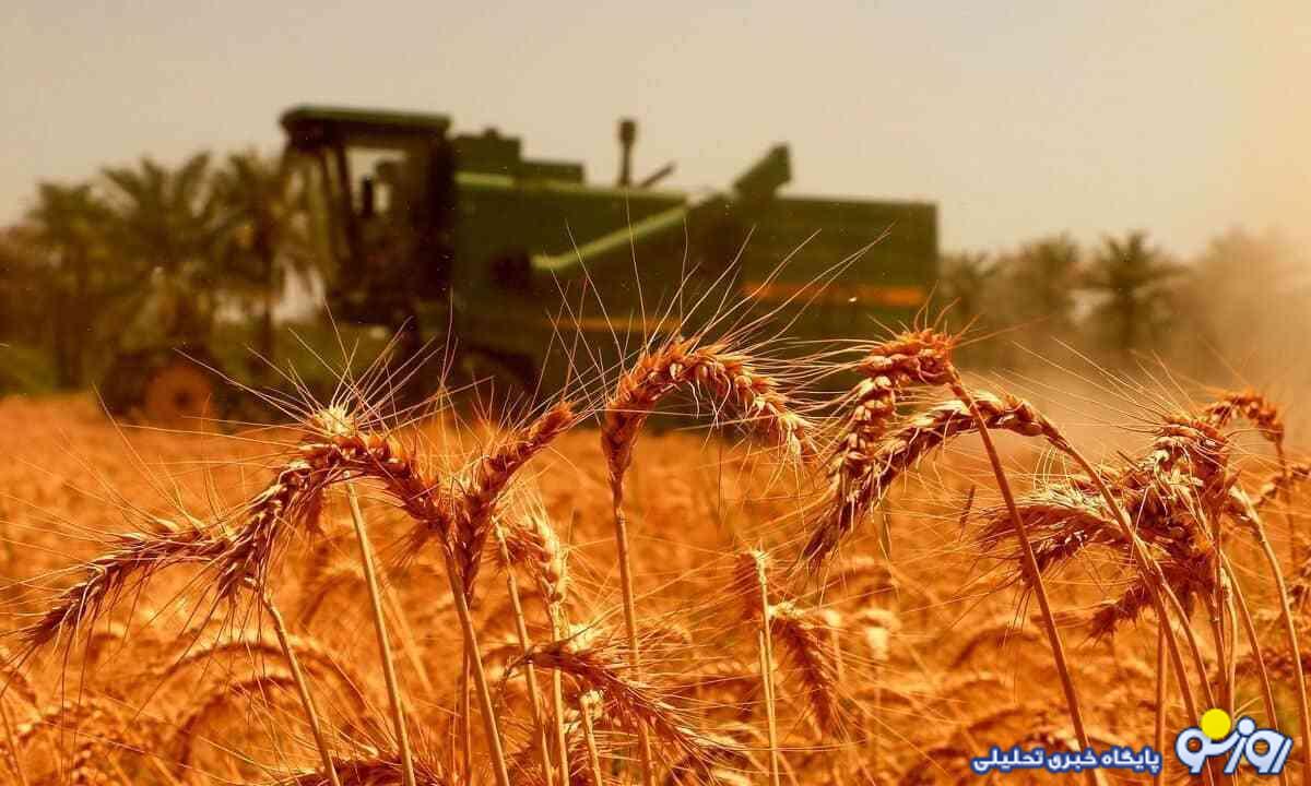 اعلام قیمت جدید گندم و پرداخت مطالبات گندمکاران