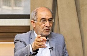 سردار علایی: ۲۷ ناو هواپیمابر ثابت در خلیج فارس حضور دارند